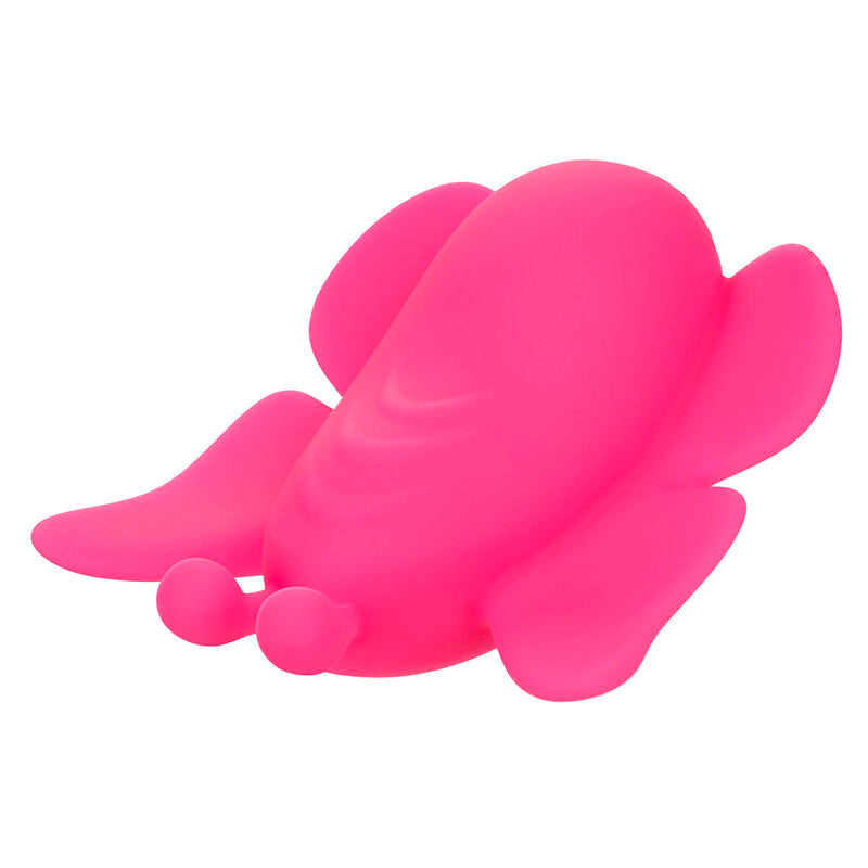 Erostore