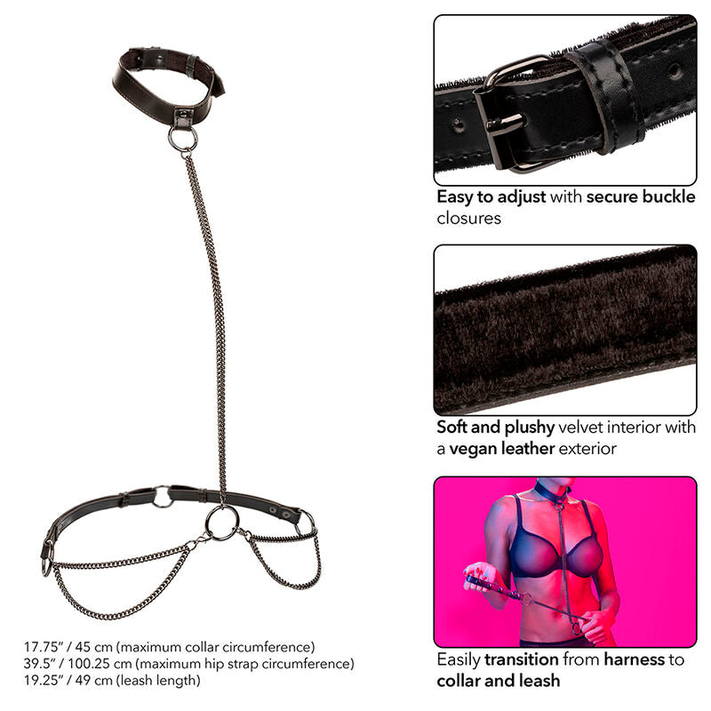 Erostore