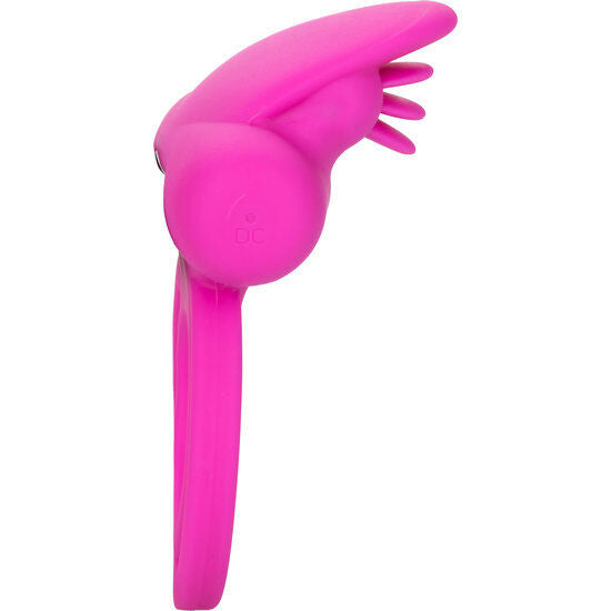 Erostore